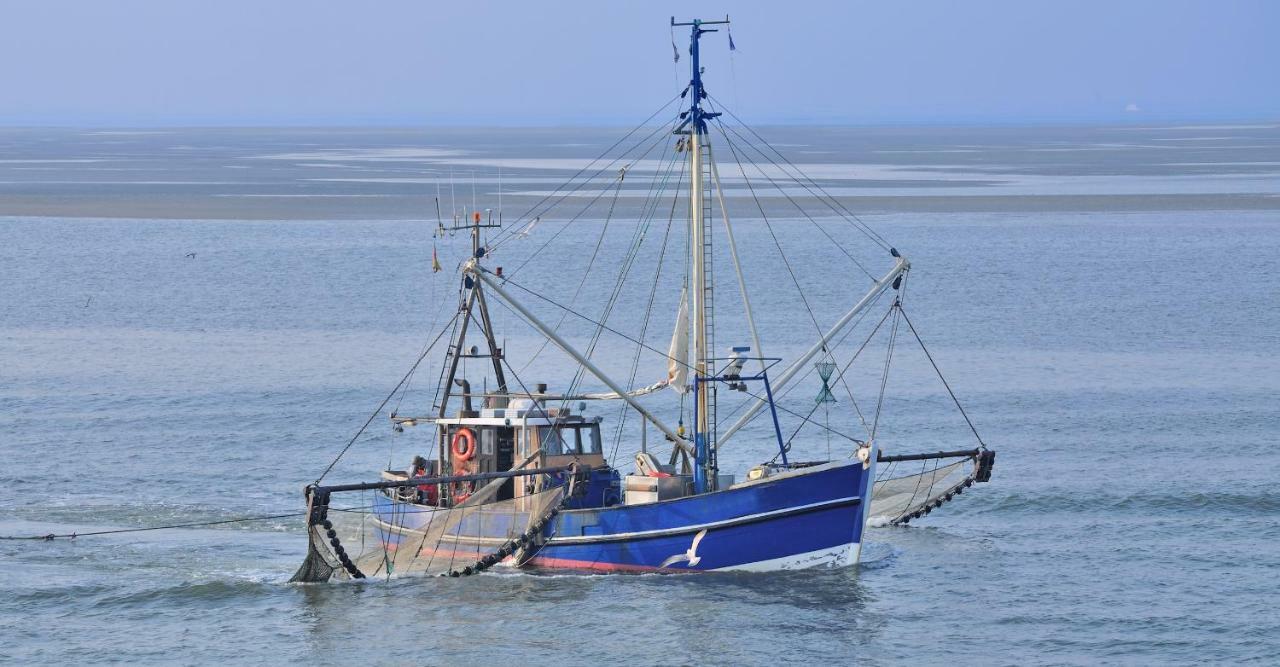 Ferienwohnung Familie Boeckmann Auf Norderney Εξωτερικό φωτογραφία